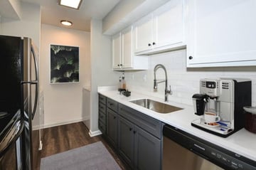 Gallery img10