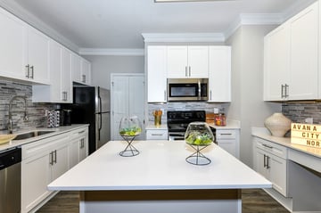 Gallery img5